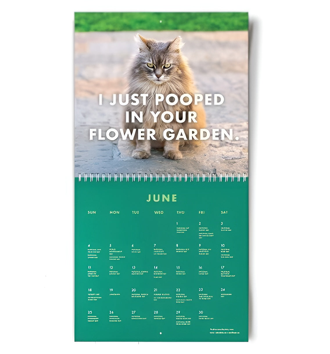 2024 Wall Calendar with Pissed-off Cats Calendar